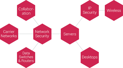 Services Hexagon Chart